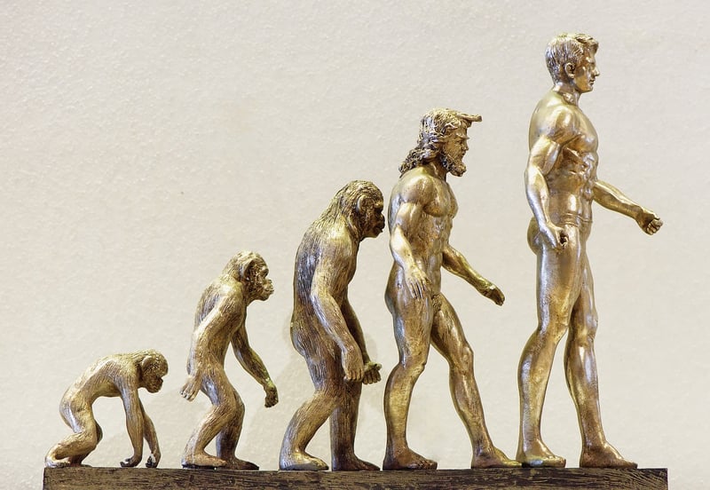 Workplace Evolution